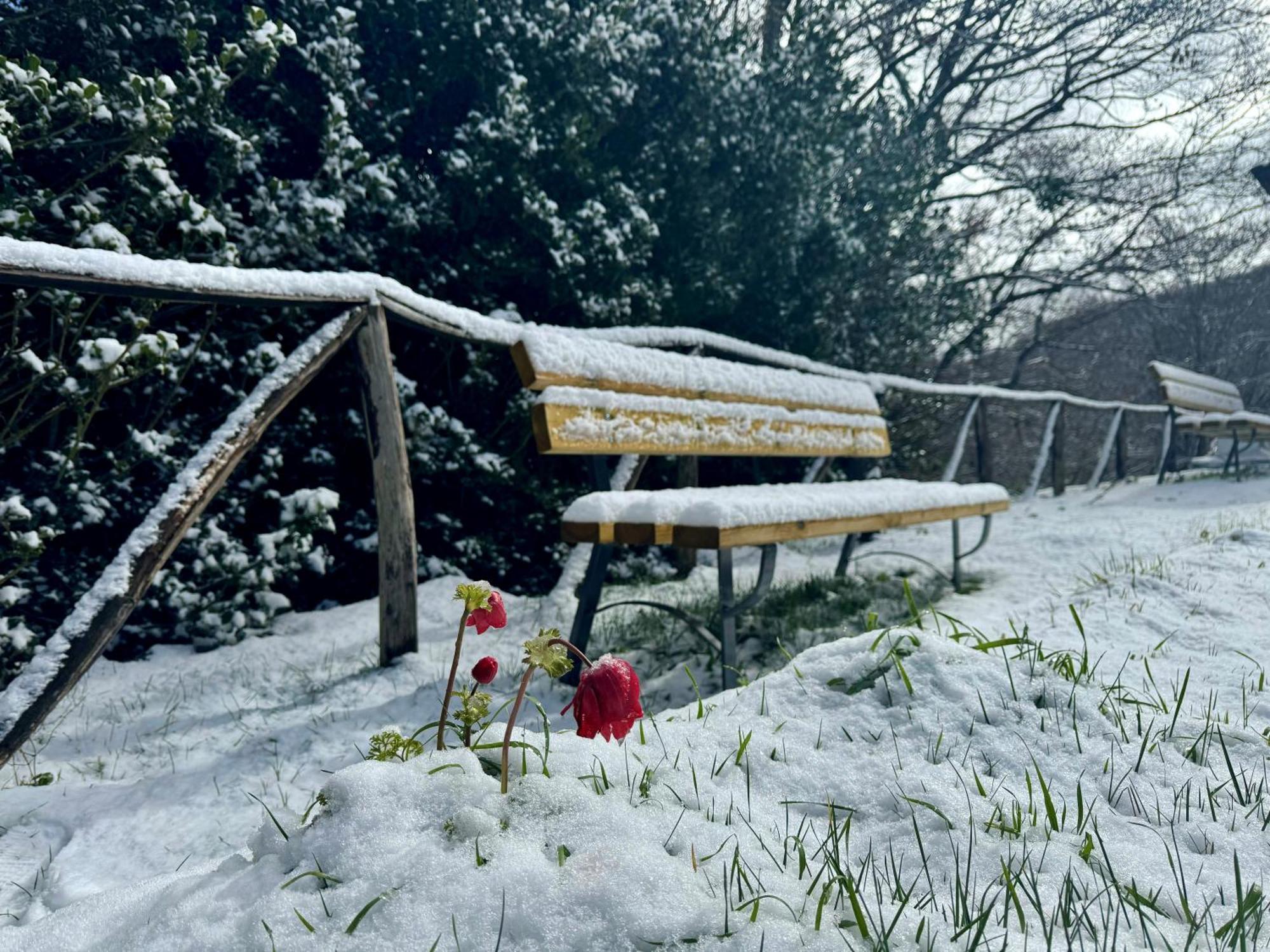 Nebris - Rifugio Del Parco Otel San Fratello Dış mekan fotoğraf