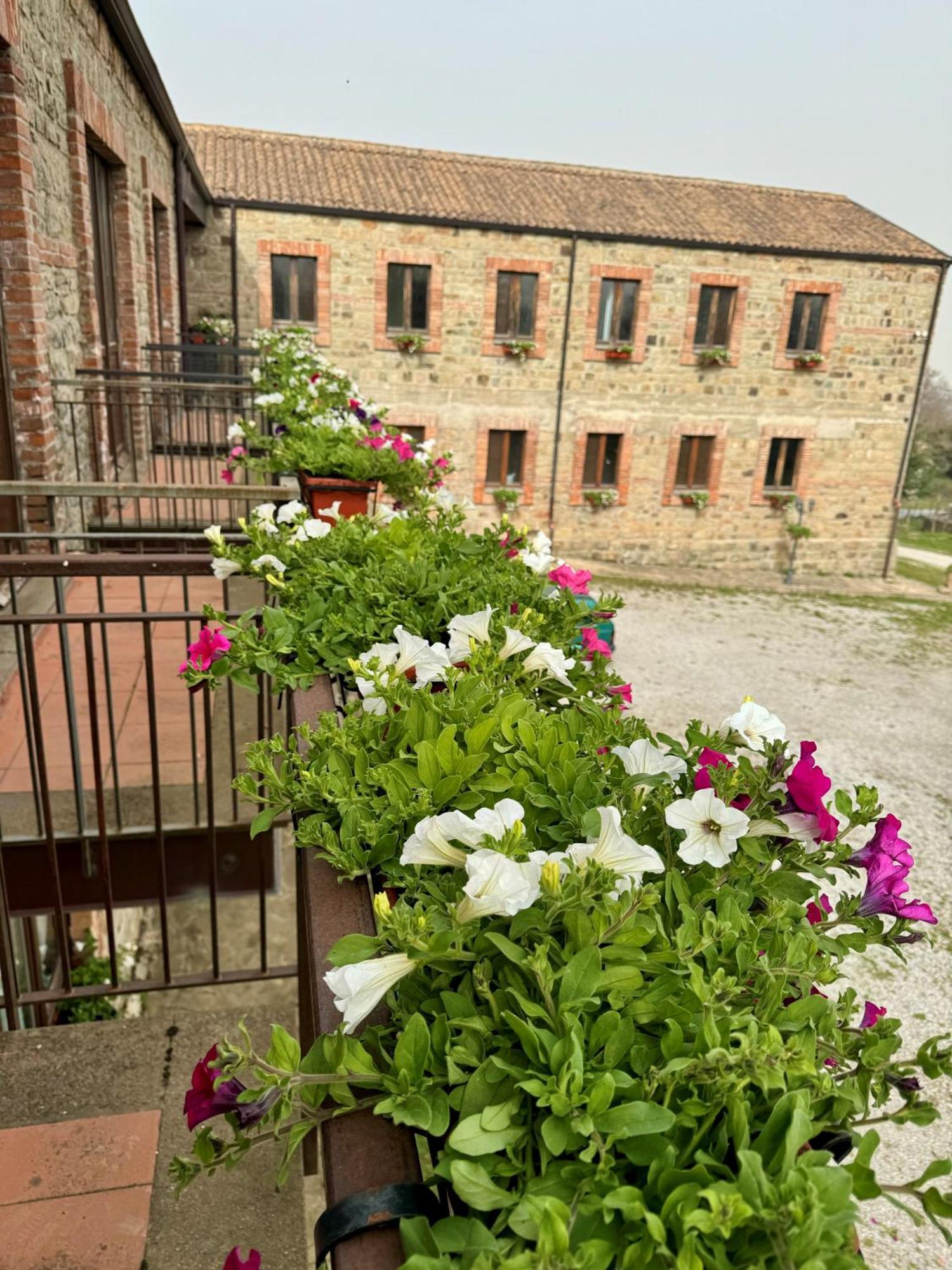 Nebris - Rifugio Del Parco Otel San Fratello Dış mekan fotoğraf