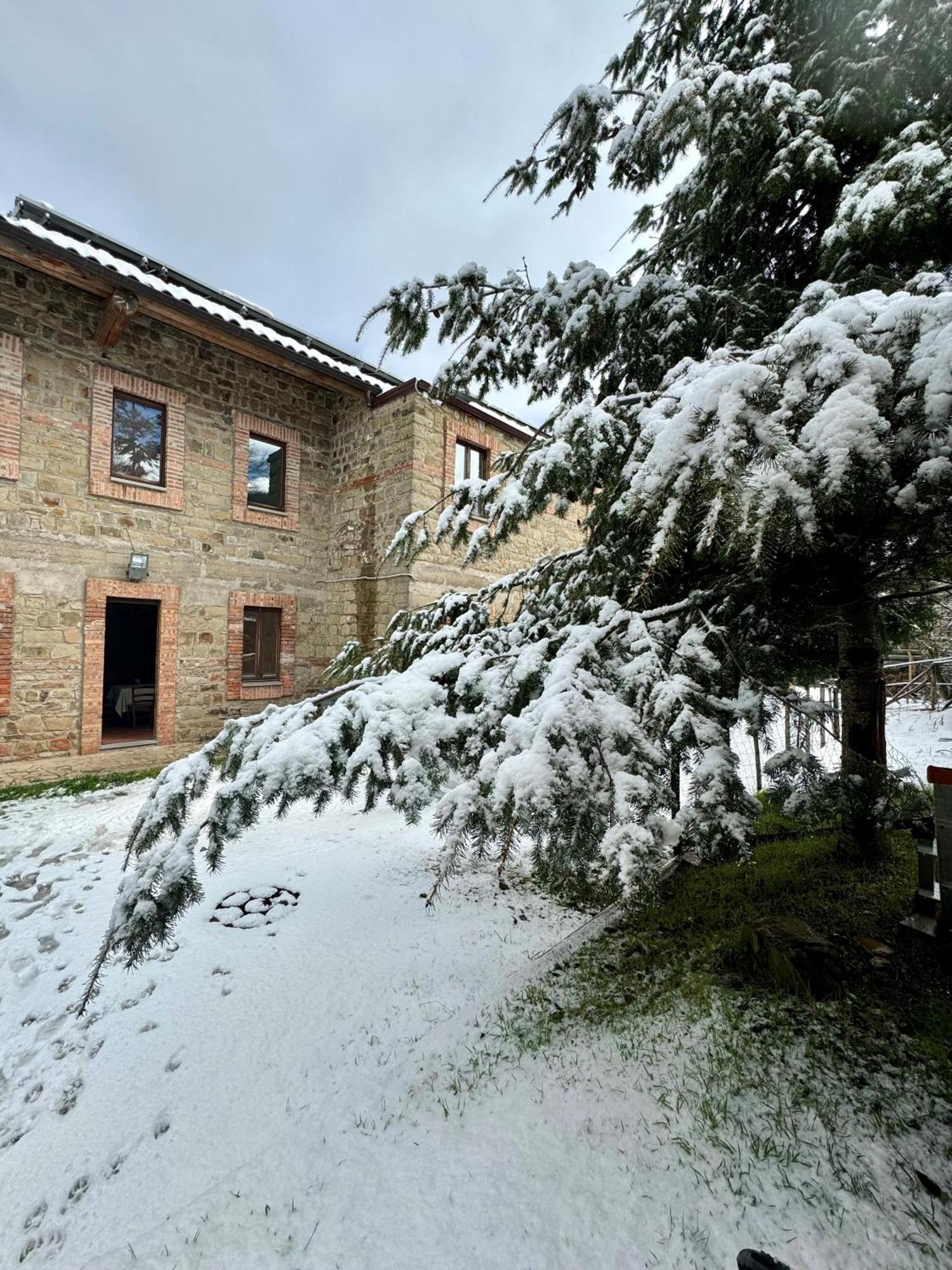 Nebris - Rifugio Del Parco Otel San Fratello Dış mekan fotoğraf