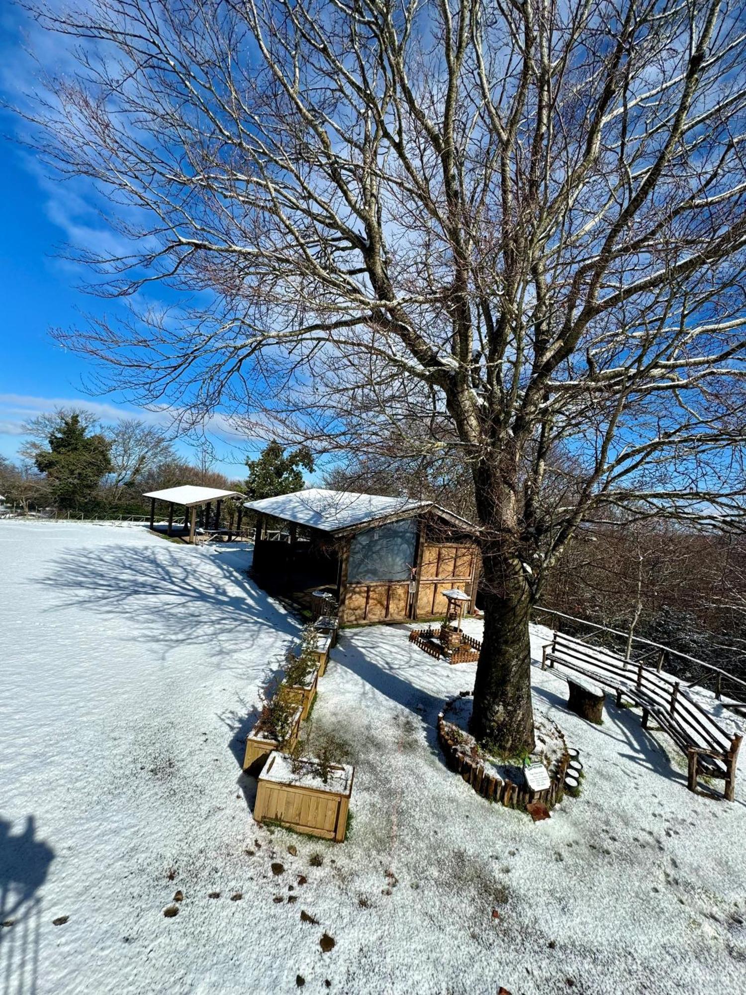 Nebris - Rifugio Del Parco Otel San Fratello Dış mekan fotoğraf