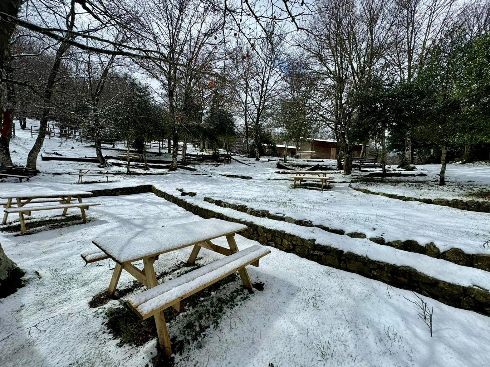 Nebris - Rifugio Del Parco Otel San Fratello Dış mekan fotoğraf
