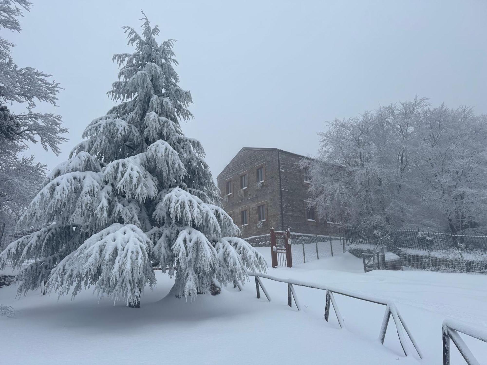Nebris - Rifugio Del Parco Otel San Fratello Dış mekan fotoğraf